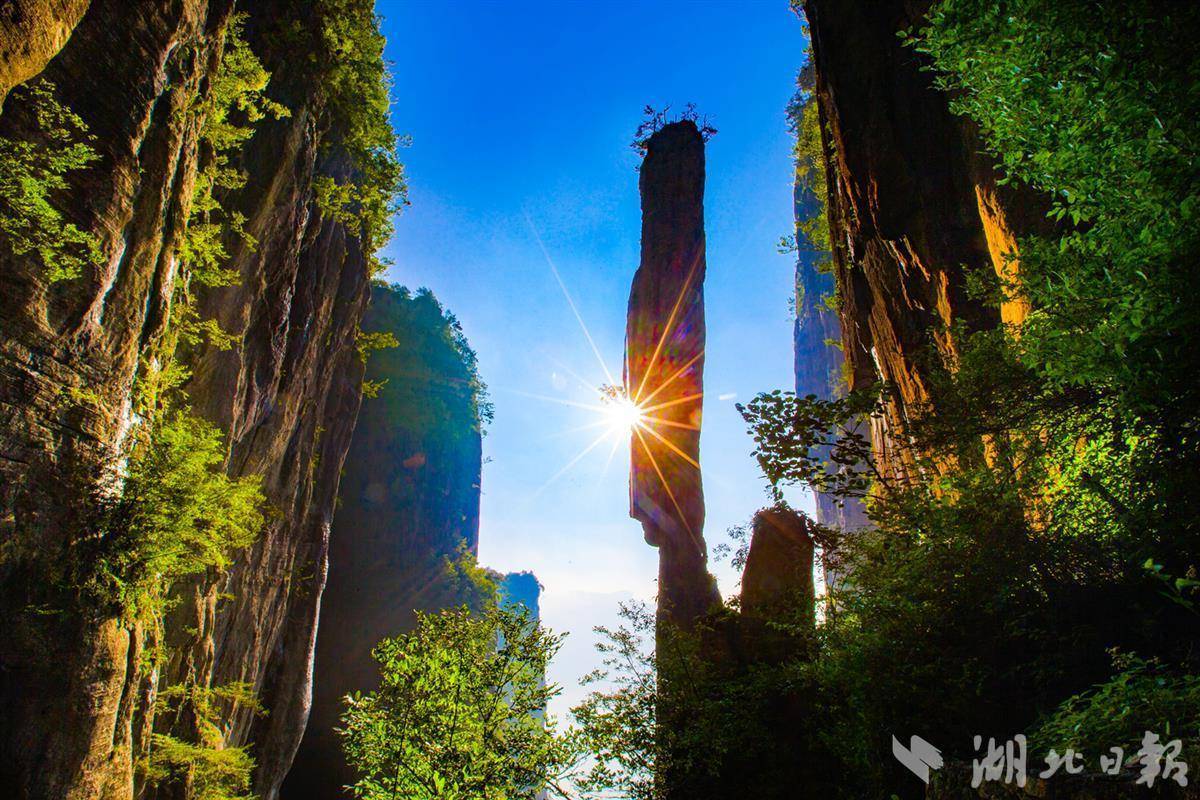 u乐平台客户端